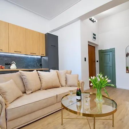 Vintage Grey Mtp Sala Ziemi Stare Zoo