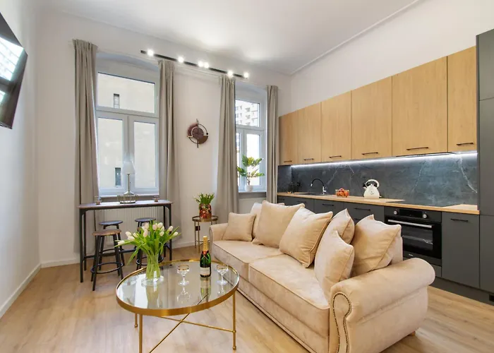 Vintage Grey Mtp Sala Ziemi Stare Zoo Apartamento