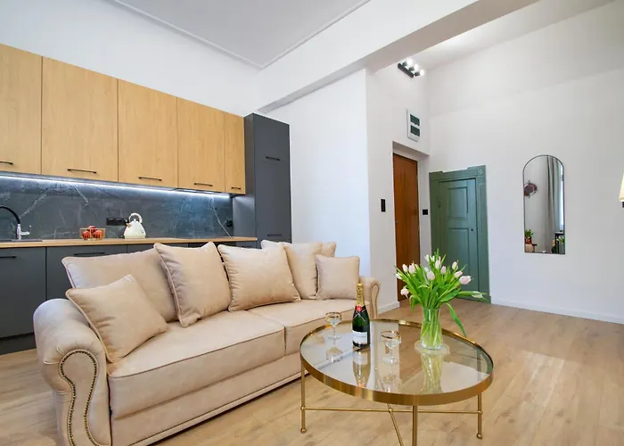 Vintage Grey Mtp Sala Ziemi Stare Zoo